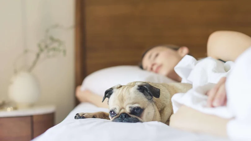 una imagen de una mujer durmiendo en una cama con su perro